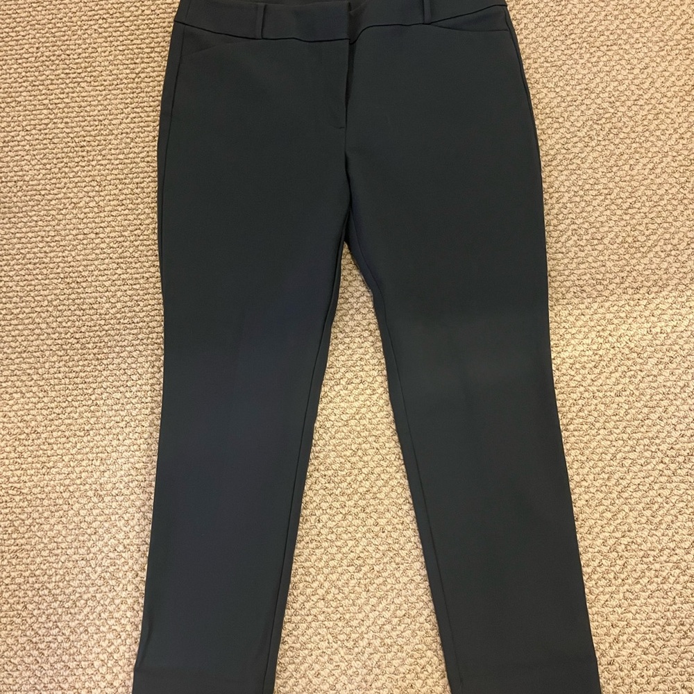 Loft Julie Skinny Charcoal Grey Women's Pants